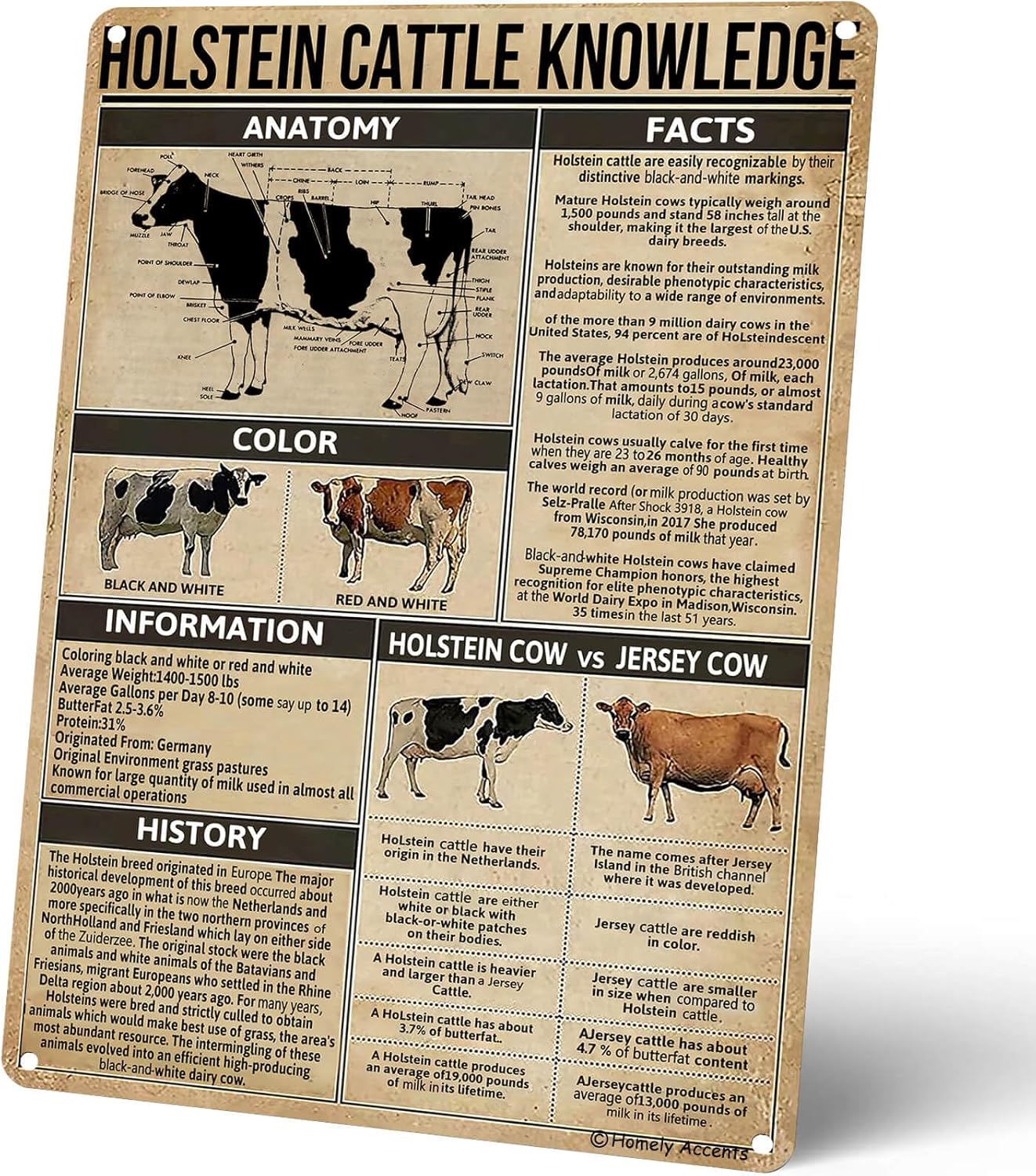 Kids Educational Posters - Homely Accents ホルスタイン牛知識ポスター、教室、クラブ、ホーム、子供部屋の装飾、動物愛好家へのギフトに最適です。