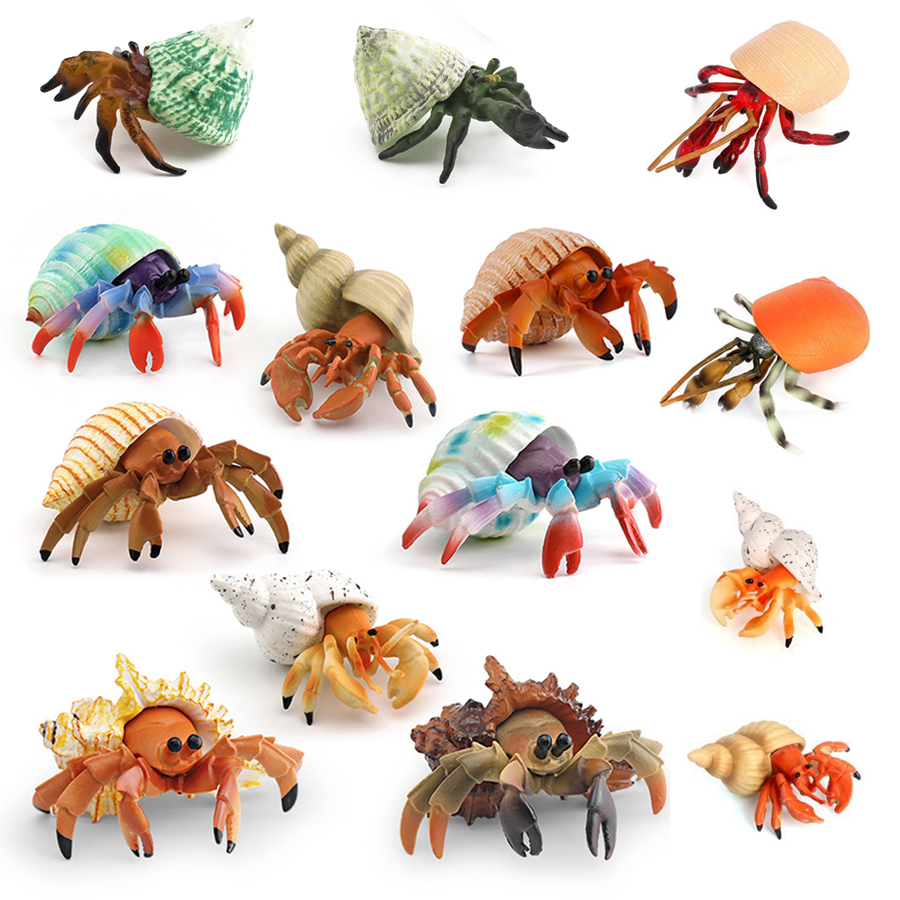 Kids Educational Device - リアルなヤドカリフィギュア耐久性のあるPVC海洋生物動物モデルフィギュア教育玩具子供幼児男の子女の子向け