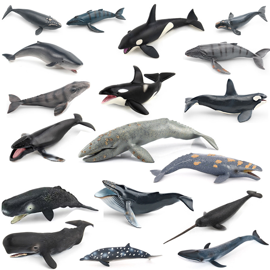 Kids Educational Device - リアルなザトウクジラ、カジキ、イッカク、シャチ、海洋生物動物モデル、アクションフィギュア、教育装飾玩具