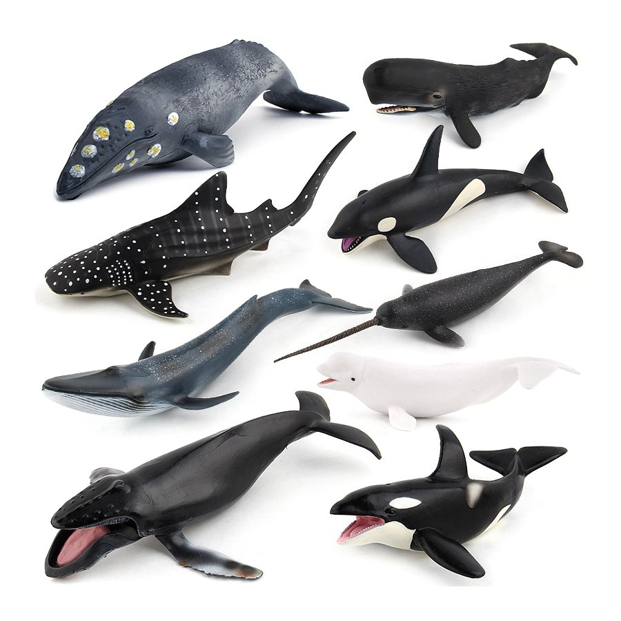リアルなザトウクジラ、カジキ、イッカク、シャチ、海洋生物動物 - Kids Educational Device のレビューと価格