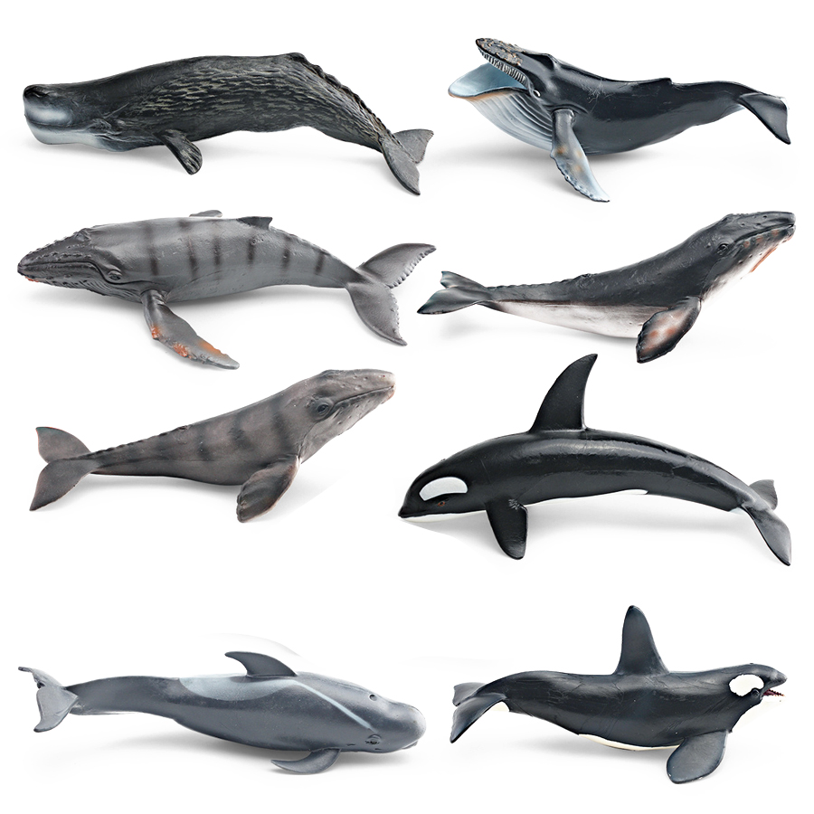 リアルなザトウクジラ、カジキ、イッカク、シャチ、海洋生物動物 - Kids Educational Device のレビューと価格