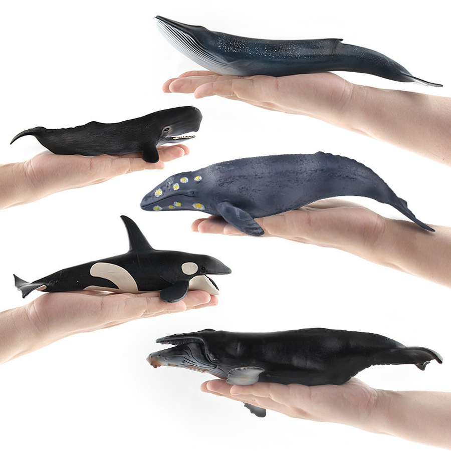 リアルなザトウクジラ、カジキ、イッカク、シャチ、海洋生物動物 - Kids Educational Device のレビューと価格